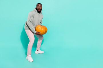 Wall Mural - Full length body size view of attractive puzzled confused guy carrying pumpkin isolated over bright teal turquoise color background