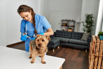 Young beautiful hispanic woman veterinarian vaccinating dog at home