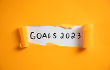 Goals 2023 On Page