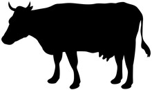 Cattle Silhouette Illustration, Cow Silhouette, Mammal, Clipart, Cow Goat Family
