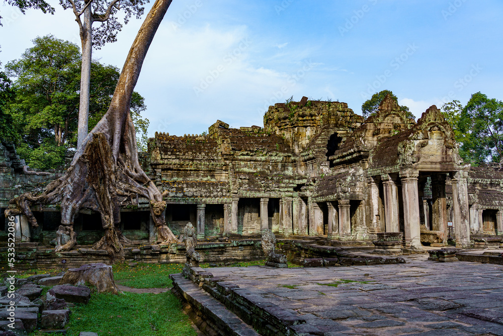 Cambodia. Siem Reap. The archaeological park of Angkor. Tree root of ...