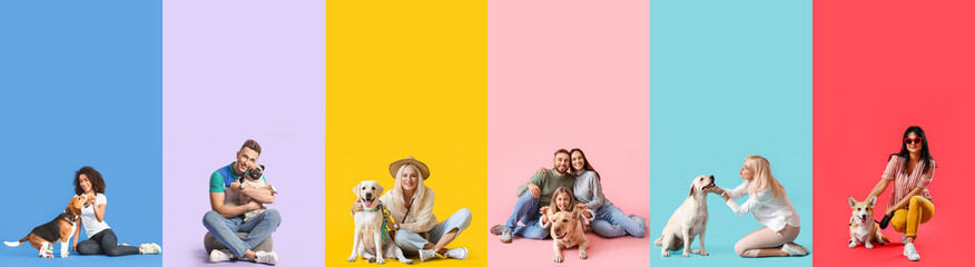 Wall Mural - Set of people with dogs on colorful background