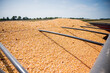 overlook of corn from top of wagon