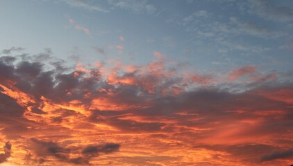 Wall Mural - Beautiful fiery orange sunset background in Florida nature, fire in the sky