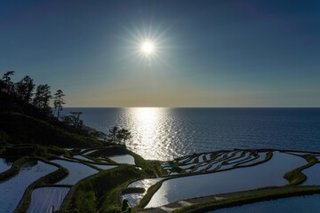 西日を浴びて輝く日本海と田植え中の白米千枚田のコラボ情景＠能登半島、石川