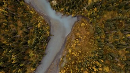 Canvas Print - Aerial view of Alaskan fall landscape with turquoise river and colorful forest.