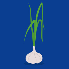 Canvas Print - garlic with green stalk on blue background