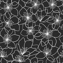 Beautiful Floral Seamless Pattern Design In Hand-drawn Style. Linear  Flowers Repeat Texture. White Flowers On A Black Background. 