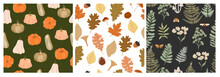 Collection Of Seamless Pattern With Autumn Plants And Pumpkin. Editable Vector Illustration.