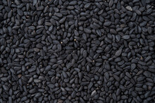 Black Cumin Macro Texture. Whole Nigella Seeds Closeup Background. Dry Kalonji Fruits For Food Design And Cooking. Concept Of Organic Spice And Seasoning. Medicinal Herb Nigella Sativa.