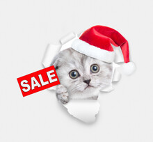 Cute Kitten Wearing Red Santa's Hat Looks Through A Hole In White Paper And Shows Signboard With Labeled "sale"