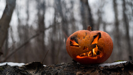 Wall Mural - Scary pumpkin with tongues of flame in a dense forest. Jack o lantern for halloween