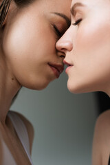 Wall Mural - close up view of young lesbian women kissing isolated on grey.