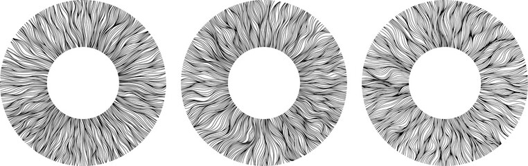 Abstract eye illustration. Iris decorative image. Circle vector line sketch.