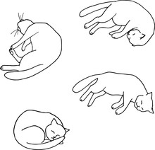Vector Illustration Of Sleeping Cat Poses On White Background