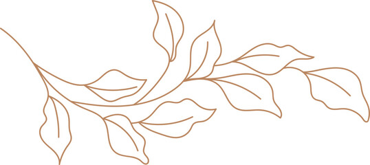 Wall Mural - branch with leaves lined illustration