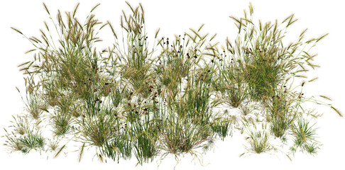 grass line 6 perspective