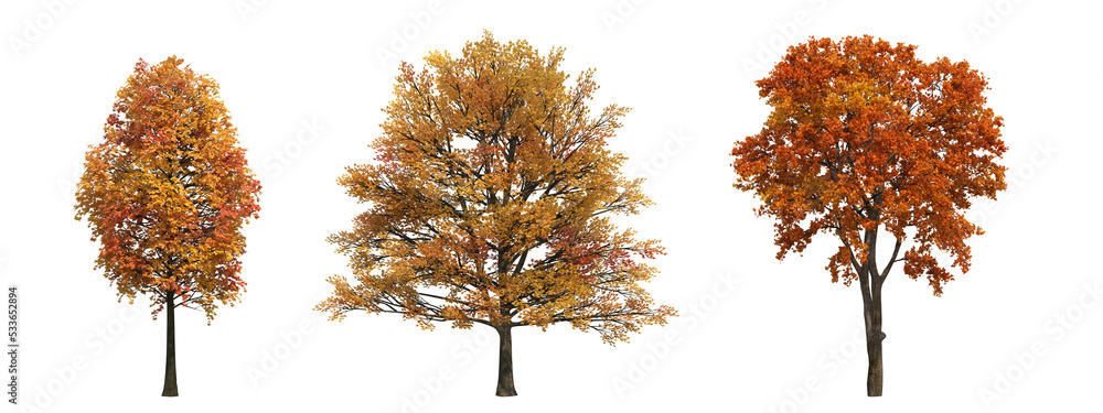 autumn tree, isolate on a transparent background, 3d illustration Stock ...