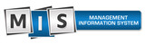 Fototapeta  - MIS - Management Information System Blue Grey Squares Bar 