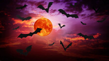 Halloween, Blood Moon ,Red Moon, Real Full Blood Moon With Bats In Black Sky With Cloud.