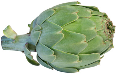 Wall Mural - Fresh artichoke