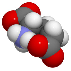 Poster - Glutamic acid (Glu, E, glutamate) amino acid, neurotransmitter and umami flavor component, molecular model.