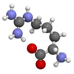 Arginine (Arg, R) amino acid, molecular model.