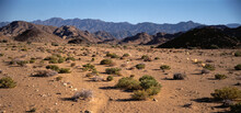 Overview Of Arid Landscape, Northern Cape, South Africa