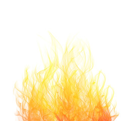 Wall Mural - Realistic fire illustration.Flames isolated on white background