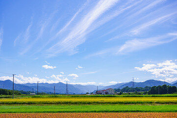 Poster - 塩尻市の田園風景　