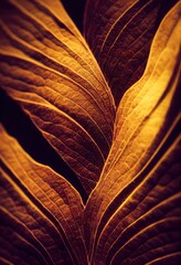 golden brown organic texture