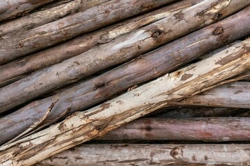 Wall Mural - A pile of wood logs stacked nicely in an outdoor street.