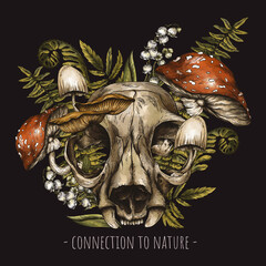 Wall Mural - Vintage Animal Skull Greeting Card, Amanita Mushroom