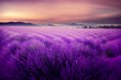 lavender field in southern france, provence landscape, fictional landscape created with generative ai