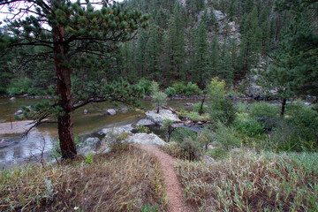 Sticker - Cache La Poudre Wild and Scenic River Valley in Colorado on a stormy, overcast day