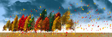 Bold And Bright Colors Of Autumn Leaves Are Seen On A Line Of Trees On A Windy Day With Leaves Flying. Everywhere In The Breeze.