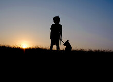 A Silhouette Of A Boy And Dog