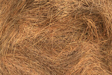 Background Texture Straw Yellow Nature Ornament