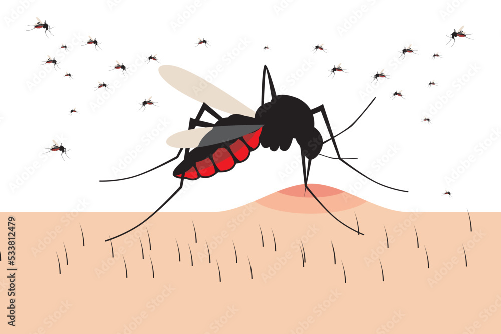 Flying mosquito vector. Mosquitoes bite humans. Flying insect ...
