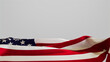 © RocknRoller Studios - Veterans Day Banner with Copy-Space.