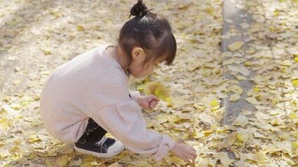 Canvas Print - スローモーション　イチョウ並木を観光する子供（育児・子育て）