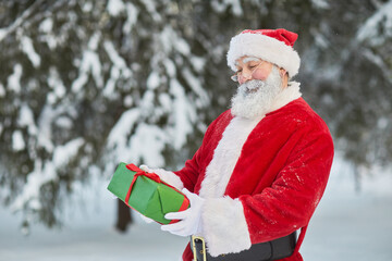 Wall Mural - Waist up portrait of traditional Santa Claus holding present outdoors in winter forest