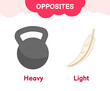 Vector learning material for kids opposites heavy light. Cartoon illustrations of a heavy weight and a light white feather.
