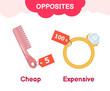 © Алёна Игдеева - Vector learning material for kids opposites cheap expensive. Cartoon illustrations of cheap comb and expensive ring.