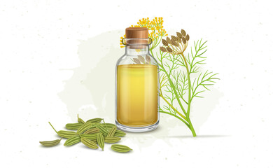 Poster - Fennel seeds oil with green herbal fennel seeds and plant -vector illustration