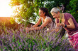 © zorandim75 - Lavender harvesting. Mother and daughter picking lavender flowers.