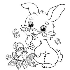 Sticker - Coloring Page Outline Of cartoon cute bunny or rabbit with strawberries and butterflies. Coloring Book for kids.