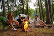 Phootography of friends hikers with tent and marshmallows relaxing together in forest journey.