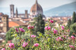 View of Florence from Garden of Roses