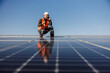 © dusanpetkovic1 - A happy worker is crouching next to the solar panels and talking on the phone.